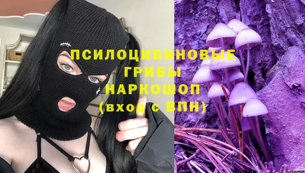 гидропоника Балахна