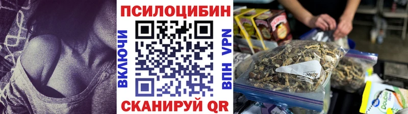 даркнет сайт Михайловка kraken рабочий сайт Псилоцибиновые грибы Psilocybe